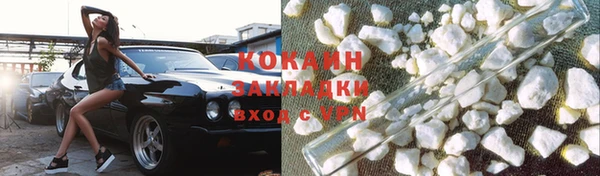 дмт Тавда