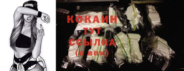 спиды Тайга