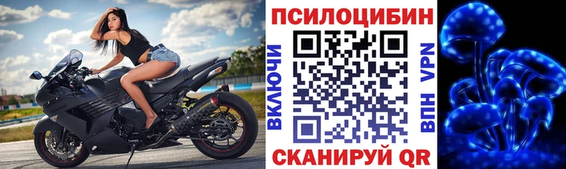 где купить наркоту  гидра зеркало  Псилоцибиновые грибы GOLDEN TEACHER  Морозовск 